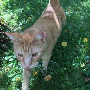 Meet your Posher, Avrie